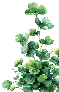 right plant
